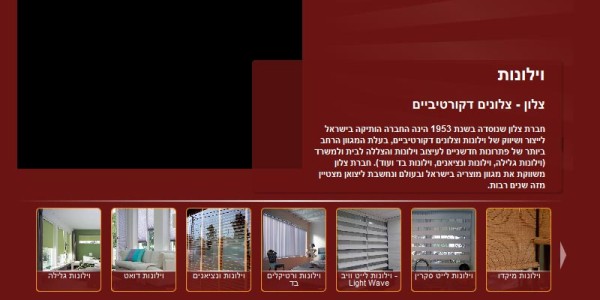 ביקורת מבנה: צלון